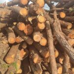 Holzscheite für Holzofen, Feuerstelle, geteiltes Anzündholz, funktioniert bei jedem Wetter, 40 cm - 25 kg – Bild 5